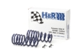 Picture of H&R HR Sport Springs Lowering Springs - 28817-2