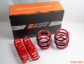 Picture of AST Lowering Springs - ASTLS-19-206