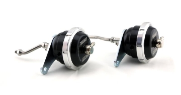Picture of Turbosmart TS App Spec Wastegates - TS-0615-2073