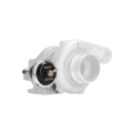 Picture of Turbosmart TS IWG75 Wastegates - TS-0625-1072