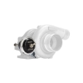 Picture of Turbosmart TS IWG75 Wastegates - TS-0625-1072