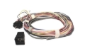 Picture of FAST FST Wiring Harnesses Ex - 307042