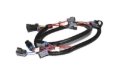 Picture of INJECTOR HARNESS, LS2-18726543 FIRE