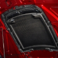 Picture of Ford Racing FR Hoods - M-16612-C20