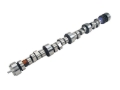 Picture of CAMSHAFT, LT1 276HR-14