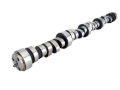 Picture of CAMSHAFT, LT1 XR269HR-12