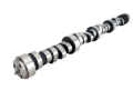 Picture of XX CAMSHAFT, CS TPX 254HR-15