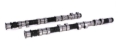 Picture of CAMSHAFT KIT, GM ECOTECH XE252 BHR-13