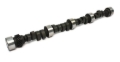 Picture of CAMSHAFT, CS 47S XE294H-10