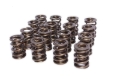 Picture of XX VALVE SPRINGS, 1.565" DUAL