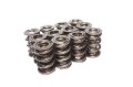 Picture of XX  VALVE SPRINGS, 1.683" TRIPLE D RAG RACE