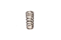 Picture of VALVE SPRING, 1.061" FORD 4.6L 2 VALVE SOHC