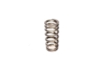 Picture of VALVE SPRING, 1.105" FORD 4.6L 4 VALVE