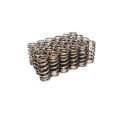 Picture of VALVE SPRINGS, 1.101" H/L FORD 3V BEEHIVE