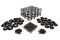 Picture of KIT, BEEHIVE SPRING, STEEL, LS TYPE
