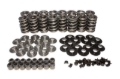 Picture of KIT, DUAL VALVE SPRING, TS, LS TYPE