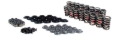 Picture of KIT, DUAL VALVE SPRING, TI, LS TYPE