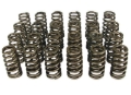 Picture of VALVE SPRINGS, 1.240" BEEHIVE