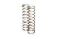 Picture of CHECKING SPRINGS