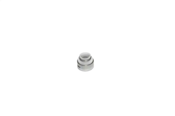 Picture of VALVE SEAL, 5/16" PTFE W/500 G UIDE