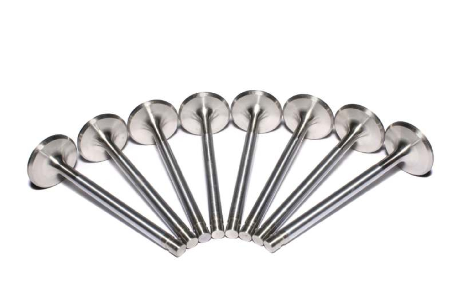 Picture of SS VALVES, SBC EXH 1.600" 11/3 2" STD