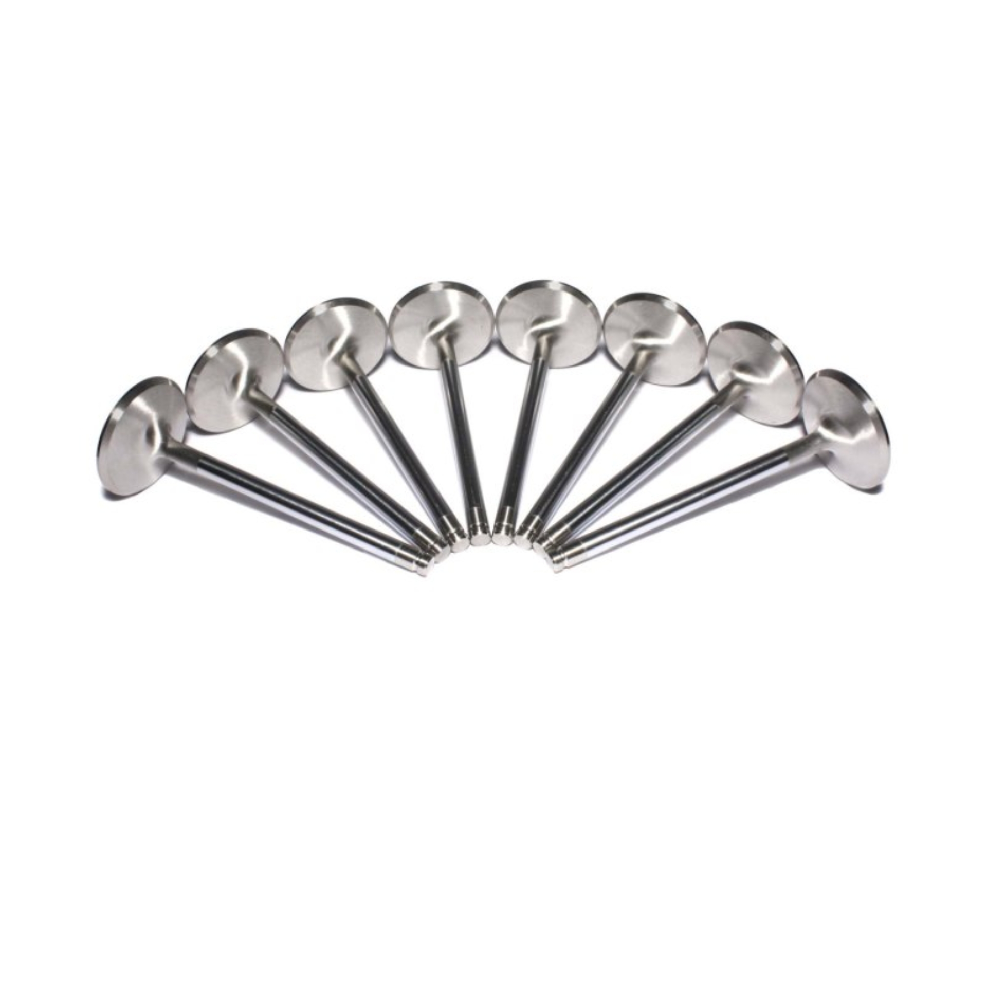 Picture of SS VALVES, LS1 INT 2.08" 4.900 "W/.170TIP