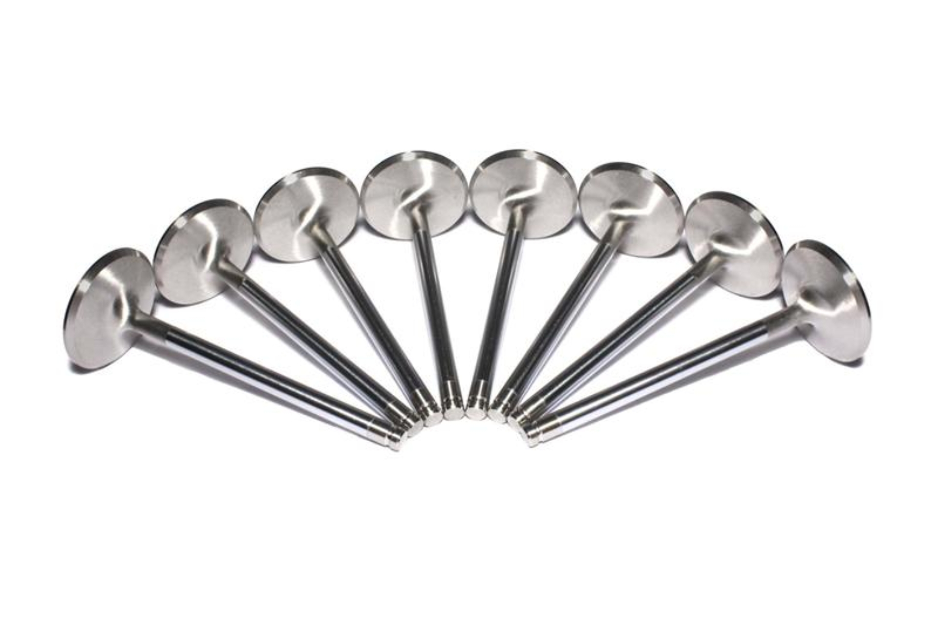 Picture of SS VALVES, LS1 INT2.055"4.900" W/.170"TIP