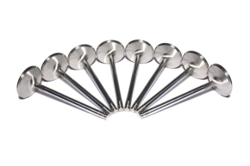 Picture of SS VALVES, LS1 INT2.055"4.900" W/.170"TIP