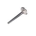 Picture of SS VALVES, LS1 INT2.055"4.900" W/.170"TIP