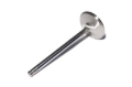 Picture of SS VALVE, LS1 INT 2.08" 4.900" W/.170"TIP