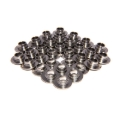 Picture of TITANIUM RETAINERS, 4.6L 4V FO R 26123