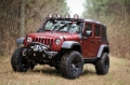 Picture of OMIX OMI Fender Flares - 11609.30
