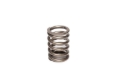 Picture of X VALVE SPRING, FORD 2800CC