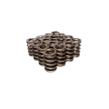 Picture of VALVE SPRINGS, 1.489" 2 SPRING ASSEMBLY