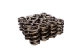 Picture of VALVE SPRINGS, 1.660" 2 SPRING ASSEMBLY