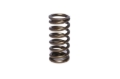 Picture of VALVE SPRING, 0.970" INNER