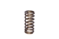 Picture of VALVE SPRING, 0.937" INNER, BLUE