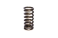 Picture of VALVE SPRING, 0.970" INNER