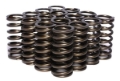 Picture of VALVE SPRING, 0.970" INNER