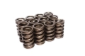 Picture of VALVE SPRINGS, 1.230" OUTER W/ DAMPER