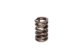 Picture of VALVE SPRING, 1.260" OVATE WIR E