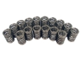 Picture of VALVE SPRINGS, 1.260" OVATE WI RE
