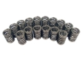 Picture of VALVE SPRINGS, 1.260" OVATE WI RE