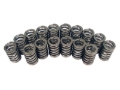Picture of VALVE SPRING, 1.260" OVATE WIR E