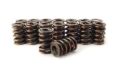 Picture of VALVE SPRINGS, 1.384" 2 SPRING ASSEMBLY