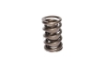 Picture of VALVE SPRING,1.437"FOR 990-974