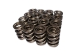 Picture of X VALVE SPRING, 1.551" H-11 ASSE MBLY