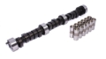 Picture of CAM & LIFTER KIT, C43 252H