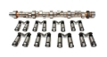 Picture of CAM & LIFTER KIT, CRS 308R-10