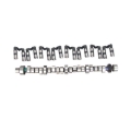 Picture of CAM & LIFTER KIT, CRS 291T HR- 7 MT THUMP